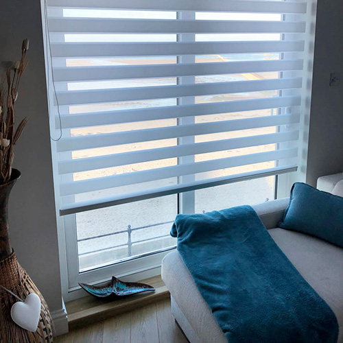 Day and night blinds on french doors 