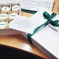 Trustpilot muffin box opened with message for 247 blinds