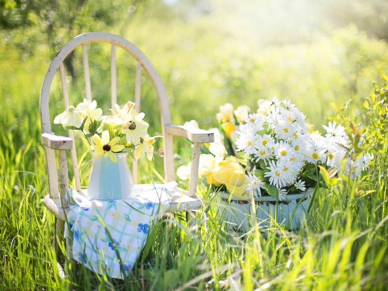 10/04/2017-3 Ways to give your home a taste of summer