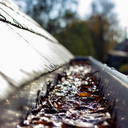 An image of a dirty gutter